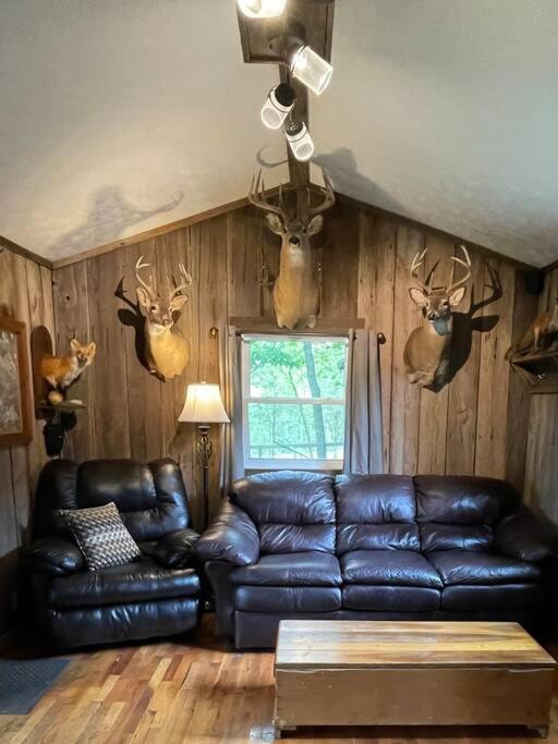 Bourbon Trail Cabin On The Farm 로렌스버그 외부 사진