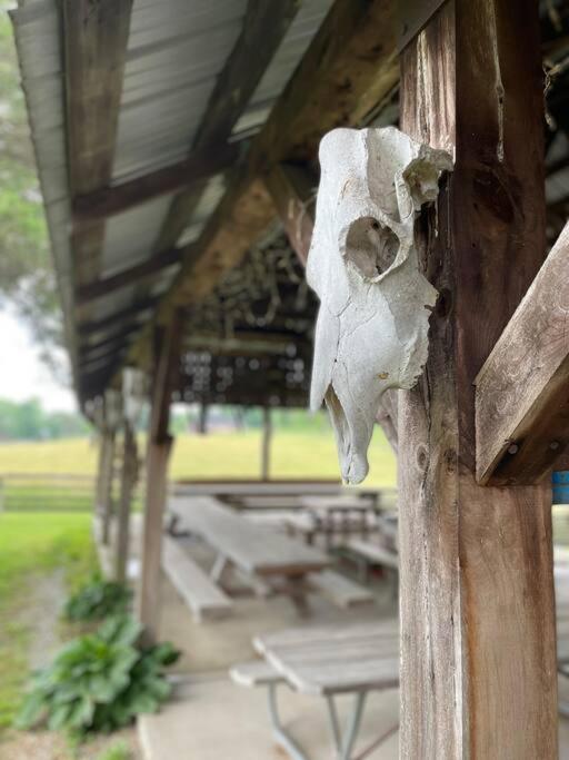 Bourbon Trail Cabin On The Farm 로렌스버그 외부 사진