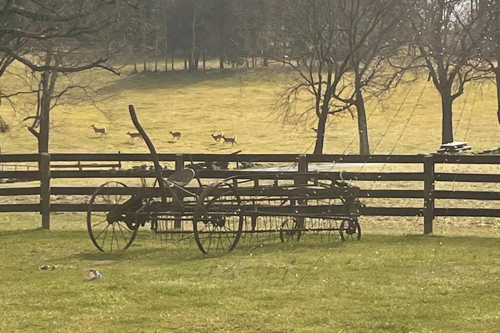 Bourbon Trail Cabin On The Farm 로렌스버그 외부 사진